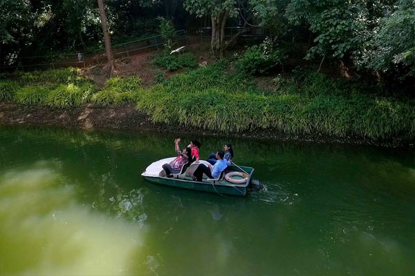 best resorts in thenmala